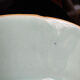 Antique celadon porcelain plate from Canton, China (1820-1850)