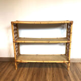 Rattan library