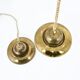 Pair of "Fior di Loto" pendants by Afra & Tobia Scarpa for Flos, year