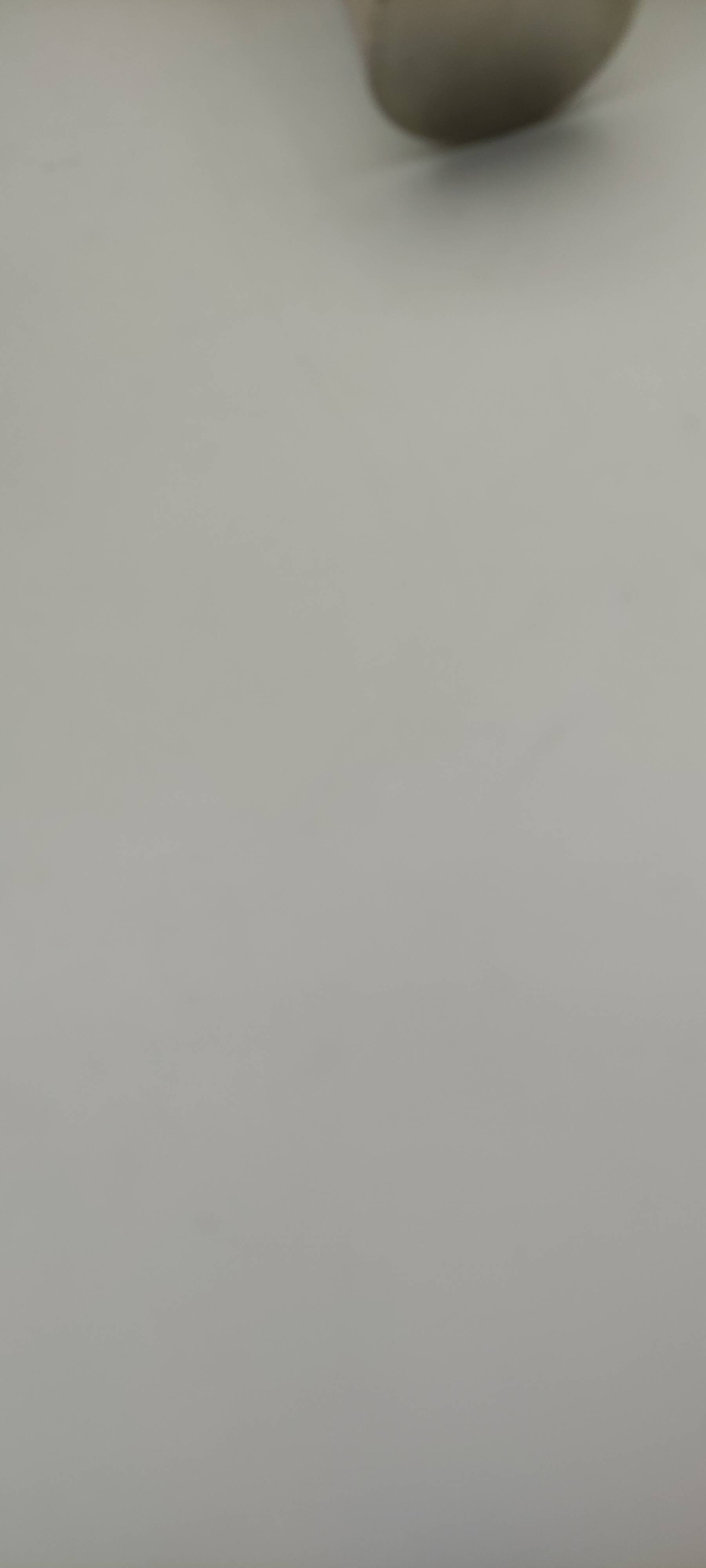 2 Sconces in nickel-plated brass and smoked glass, Scoliari style