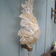 Wall light feather by Barovier and Toso Murano 1950