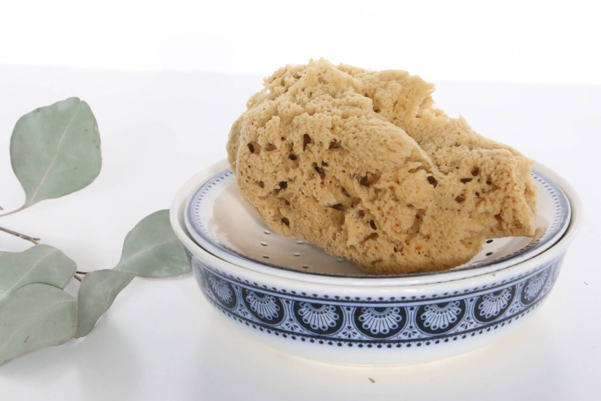 U&Cie Sarreguemines sponge holder, Terre de Fer, mid-19th century, French antique