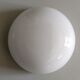 Ceiling globe