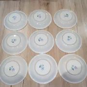 Lot 9 Deep Plates Porcelain Japan ARA S 933 Parrot & F Decor