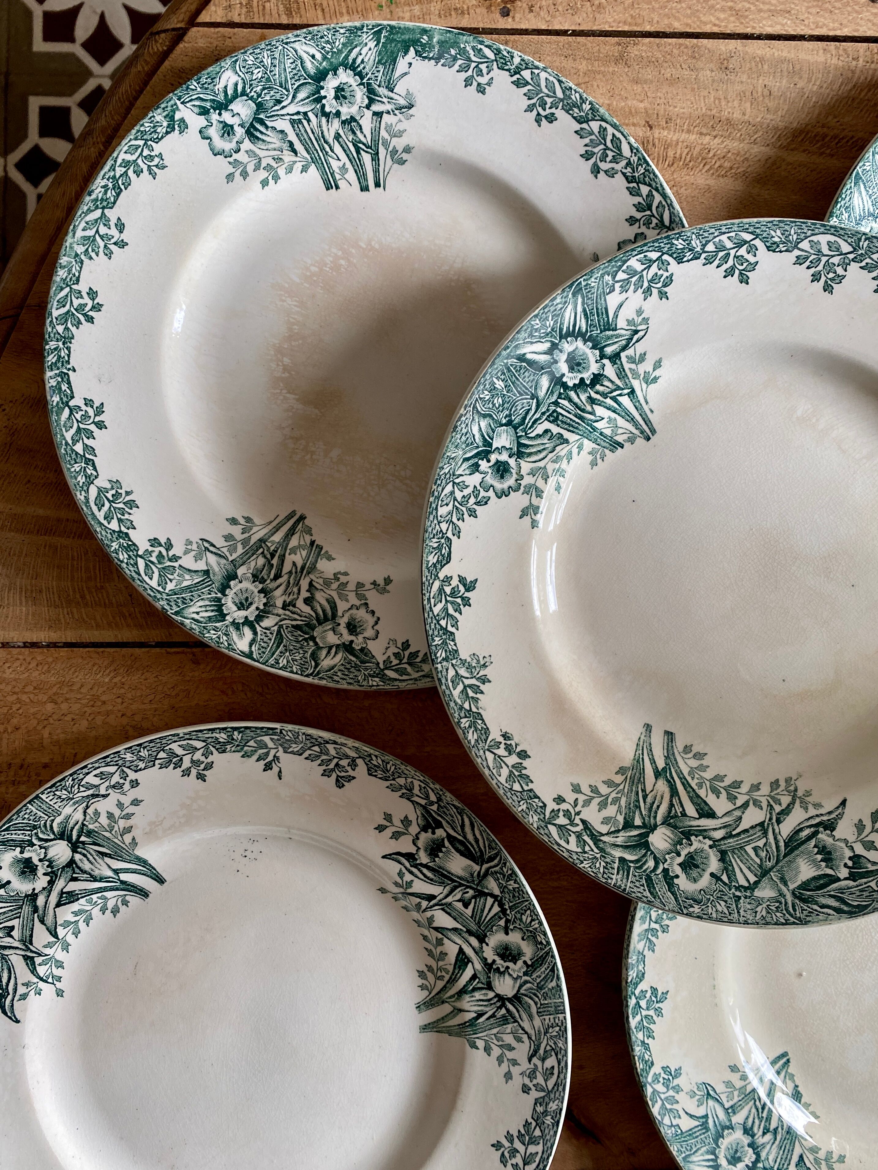 Set of 6 flat plates in iron earth (LOT 5)