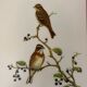 Vintage poster, birds by J Gould