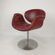 Little Tulip armchair by Pierre Paulin for Artifort 1980s