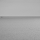 Black and white photo print on Alu Horizon marin