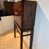 Tall Art Deco Cabinet in Macassar Veneer and Mahogany, France, 1930s