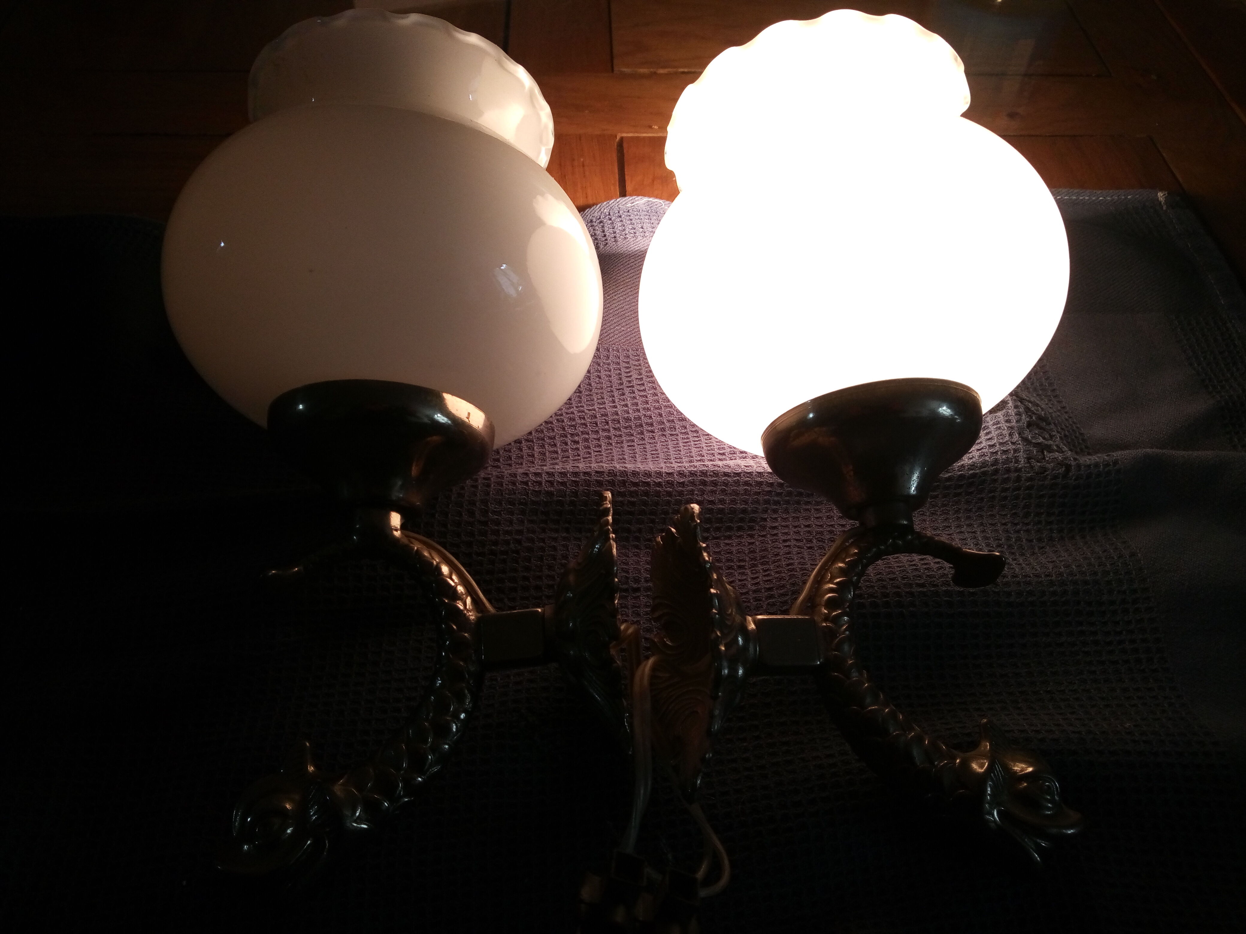Pair of fish wall light