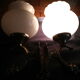 Pair of fish wall light