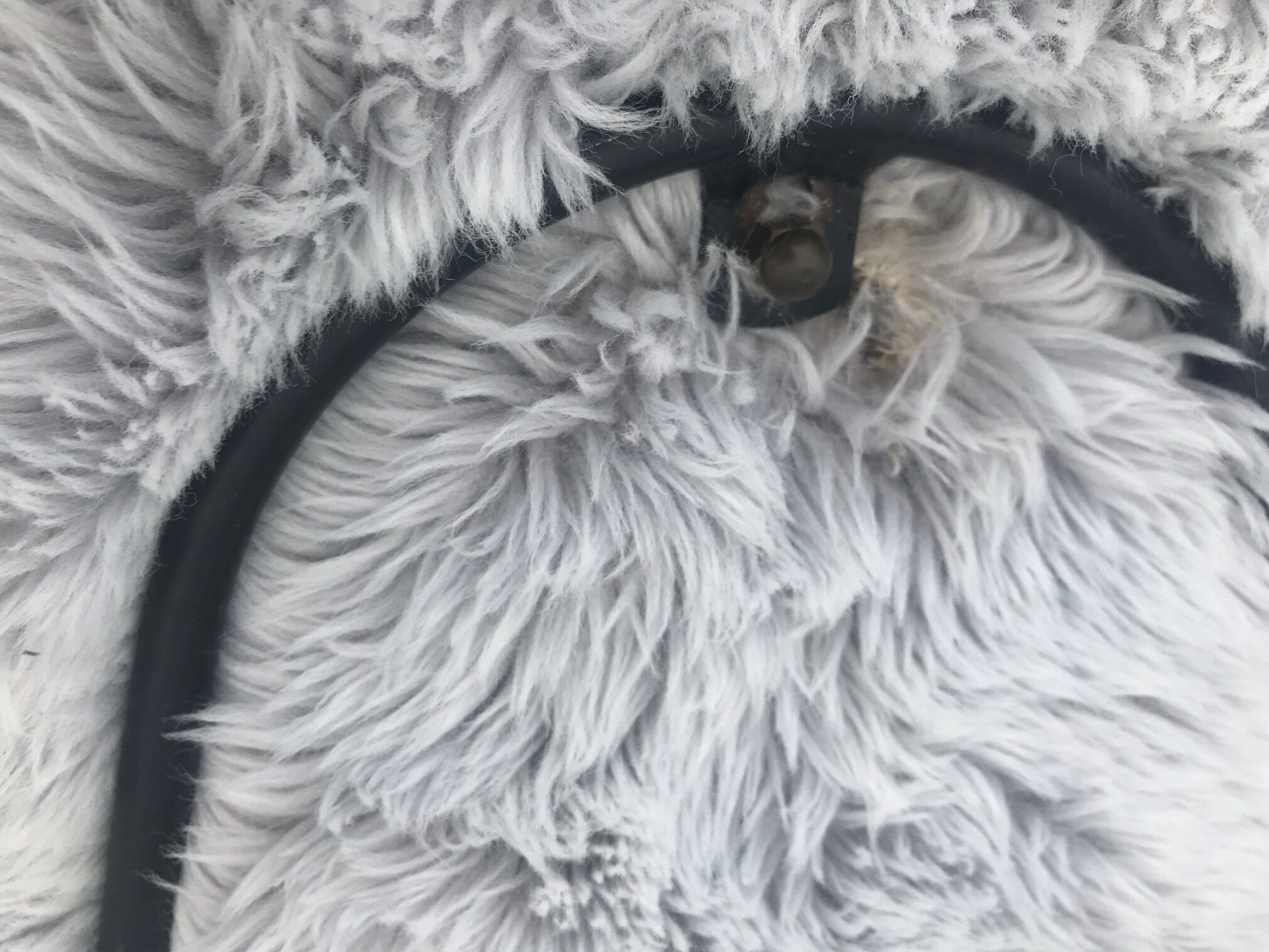 Armchair "Circle chair" by Jean Royère France 1950