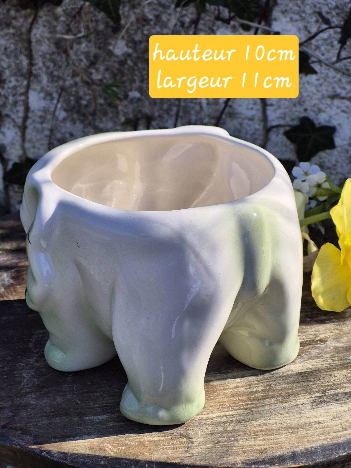 Elephant plant pot
