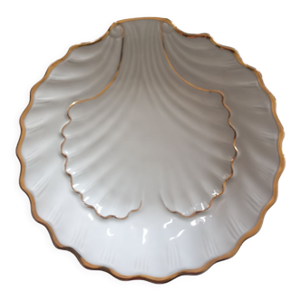 Shell-shaped tidy