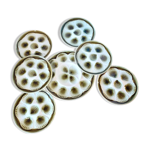 Service à huîtres Moulin - loups