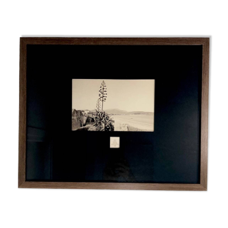 Photographie albuminée Nice Aleo Davanne