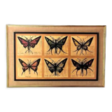 Old painting Butterflies Bernard Buffet 70's