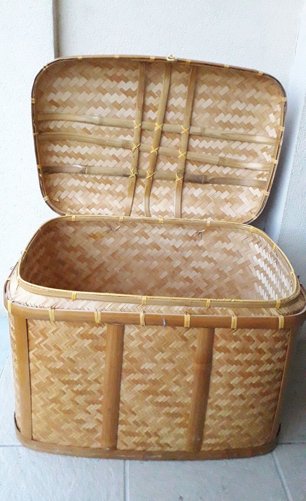 Wicker trunk