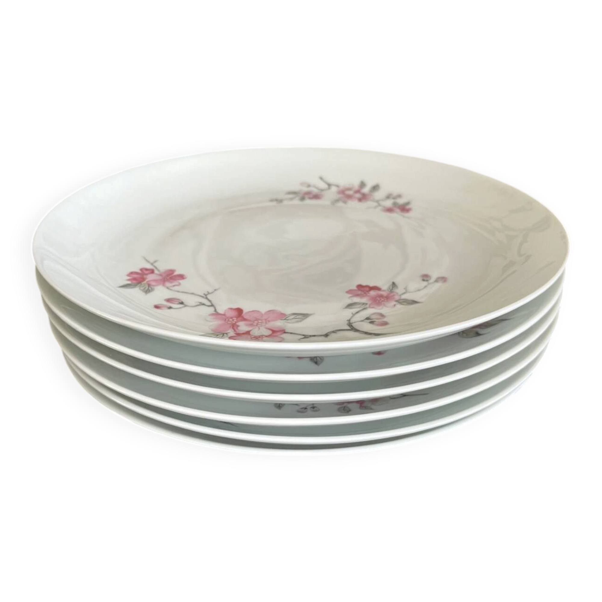 dinner plates