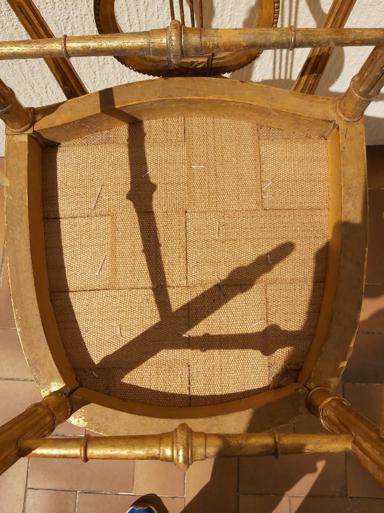 Pair of chairs with a golden lyre