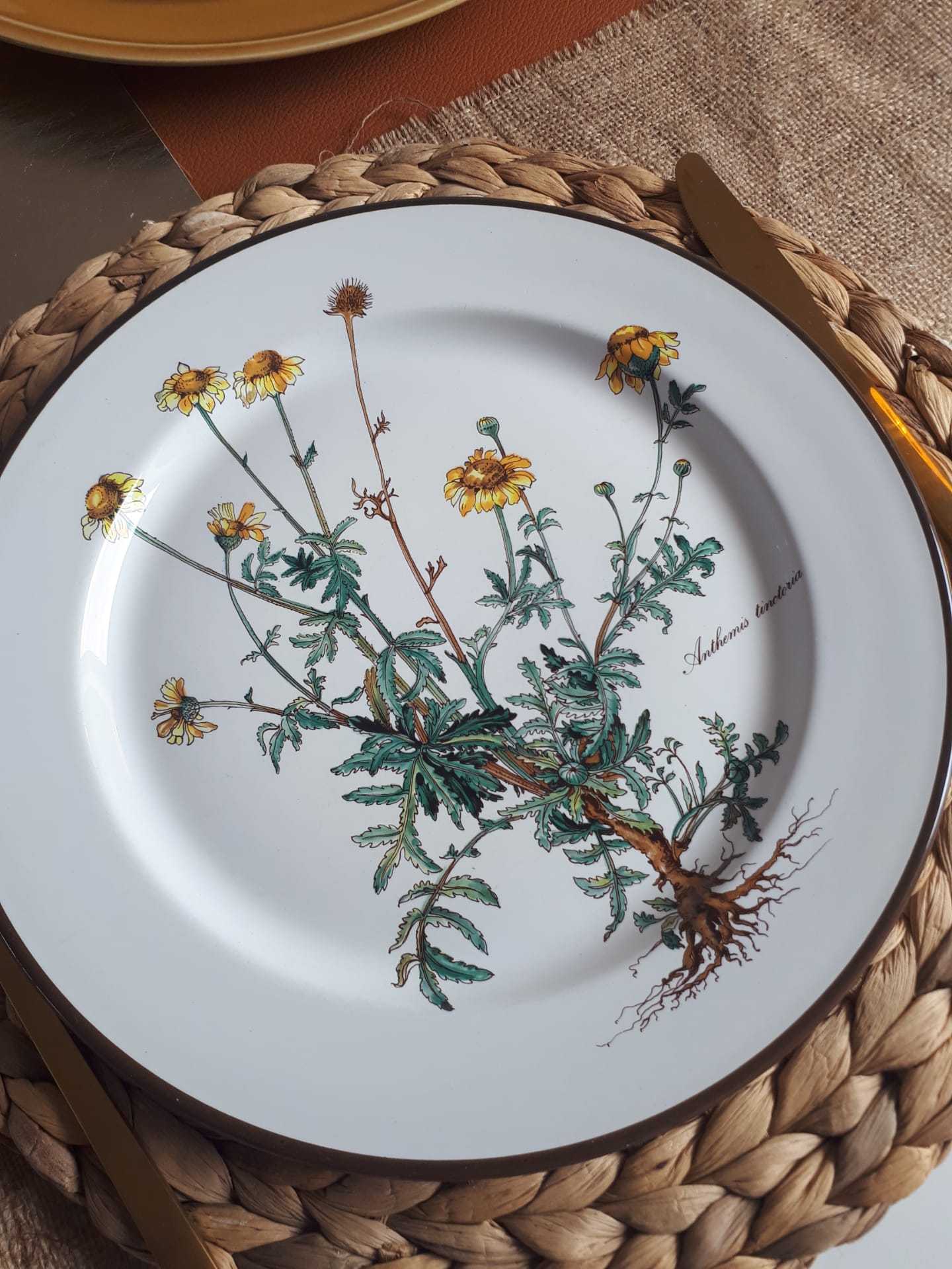 Lot of 4 flat plates "Anthemis" from the service "Botanica" of Boch