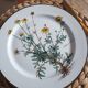 Lot of 4 flat plates "Anthemis" from the service "Botanica" of Boch