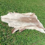 Reindeer skin rug