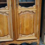Louis XVI style library
