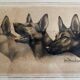 Lithograph of German Shepherds Léon Danchin