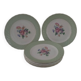 Dinner plates