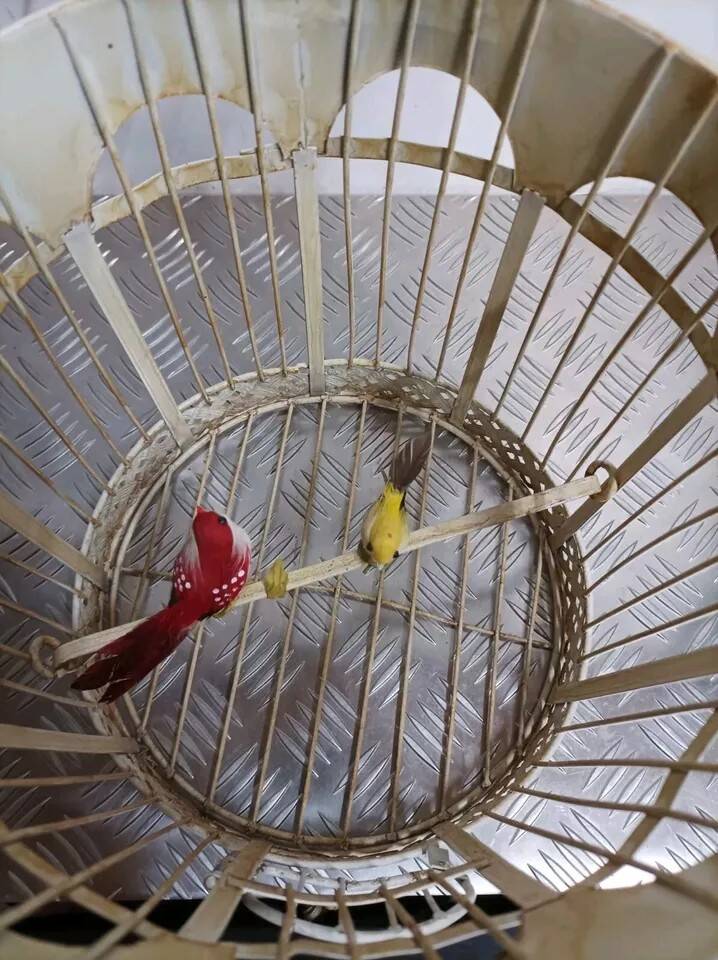 Pair of vintage bird cages