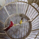 Pair of vintage bird cages