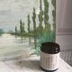 Landscape oil painting