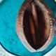 Cloche dromadaire