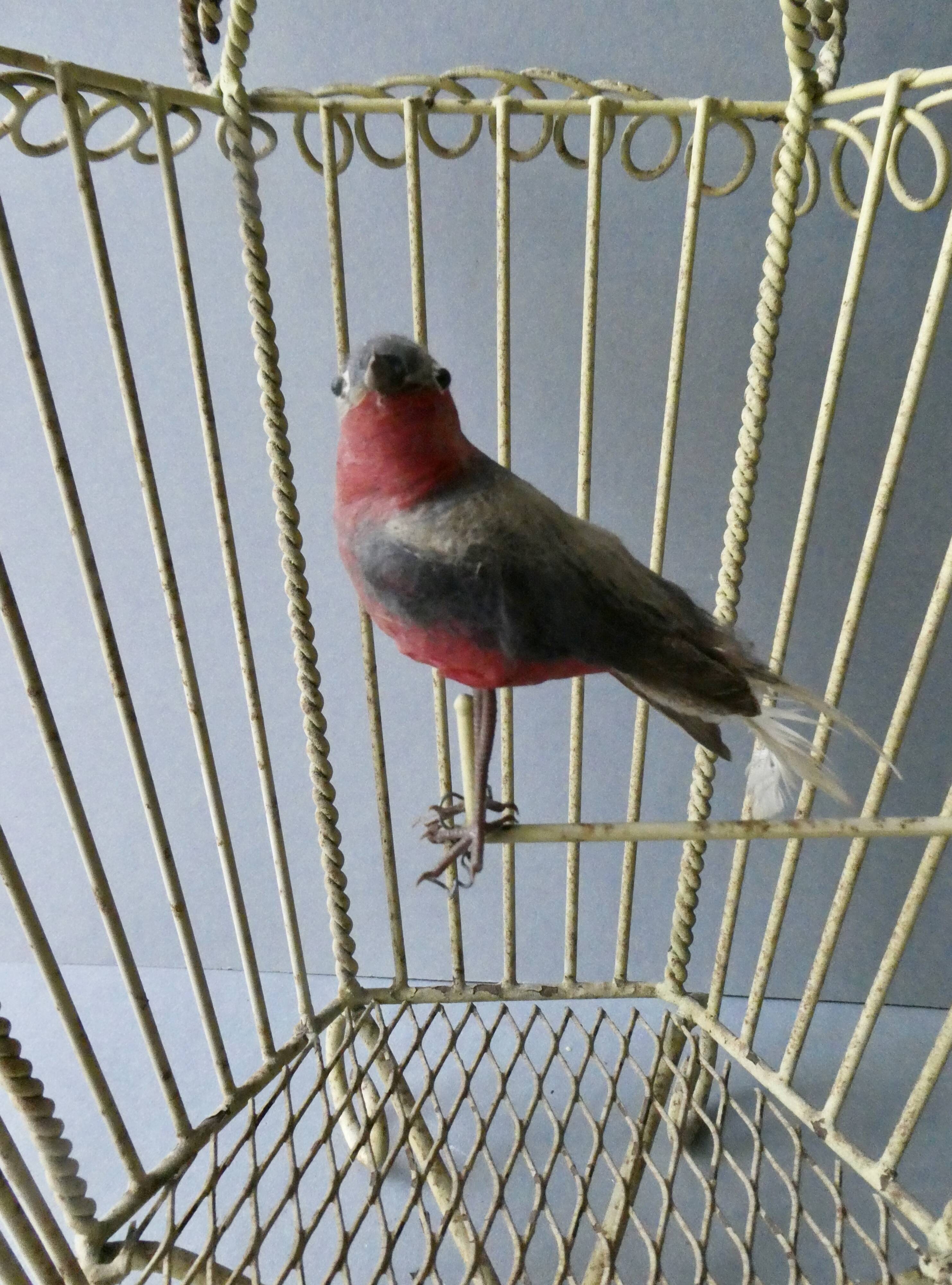 Chandelier suspension in metal, cage shape, from the 60s