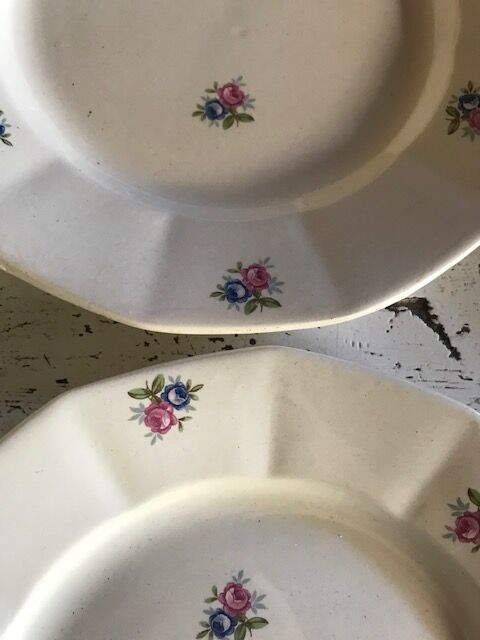 6 digoin flat plates