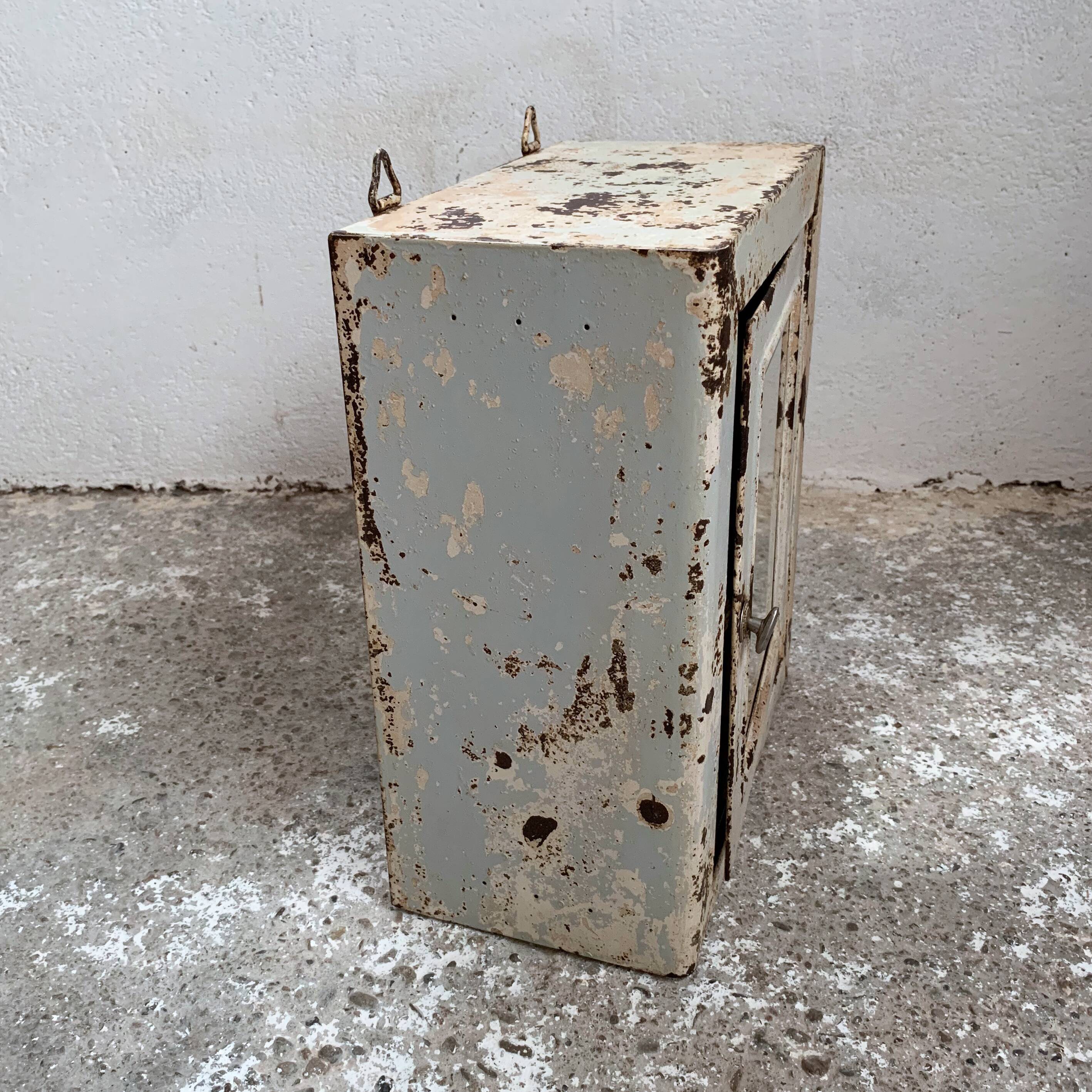 Pharmacy or toilet cabinet