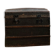 Transport trunk