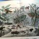 Gravure ancienne de 1886 - Insectes tropicaux et sauterelles - Lithographie