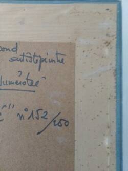 "marin love" numbered offset