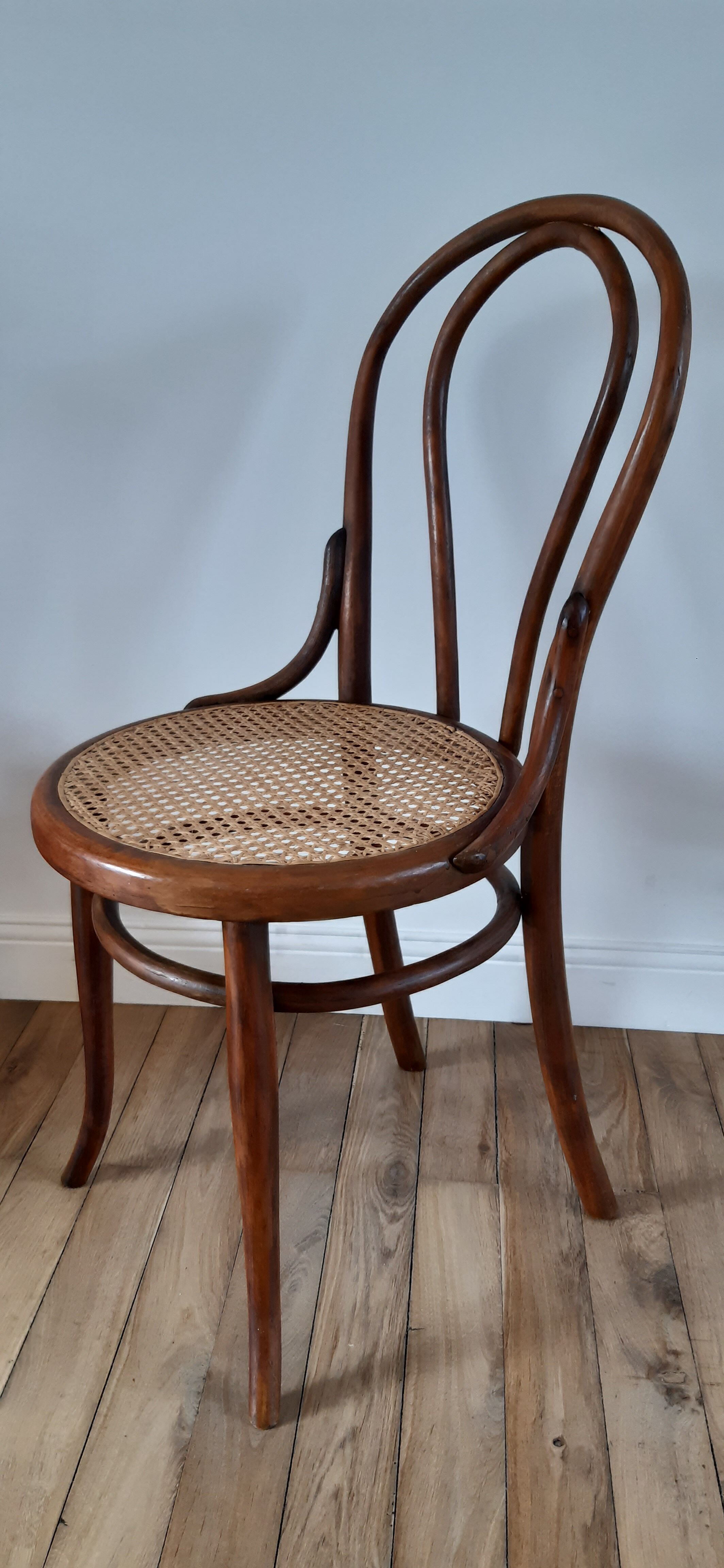 Chair in bentwood and canning XIXth