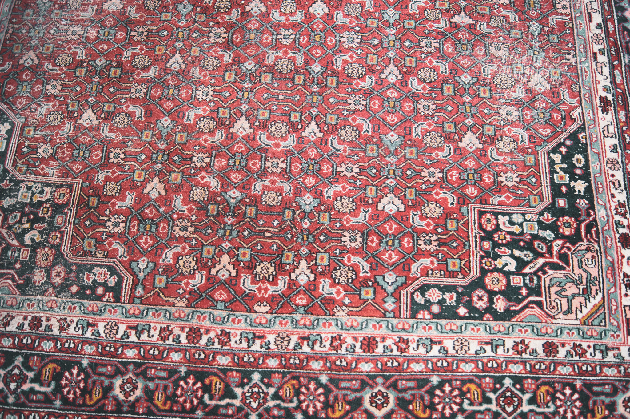 Persian Mahal Carpet 290x200