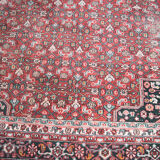 Persian Mahal Carpet 290x200