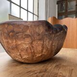 XL thuja root wooden dish