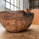 XL thuja root wooden dish