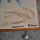 pull-out tables Vallauris, signed 'the wheel' ceramic, chrome foot