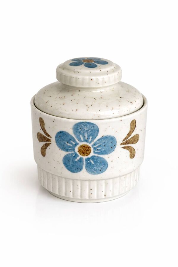 Service à café Bavaria en porcelaine, décor fleurs bleues, 24 pièces, 1970
