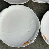Series of very large swan barbotine plates