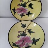 Pair of vintage Chinese decorative plates with floral decoration on a yellow background