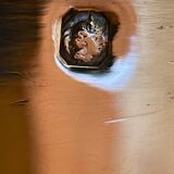 Solid silver bonbonnière, silversmith Émile Puiforcat